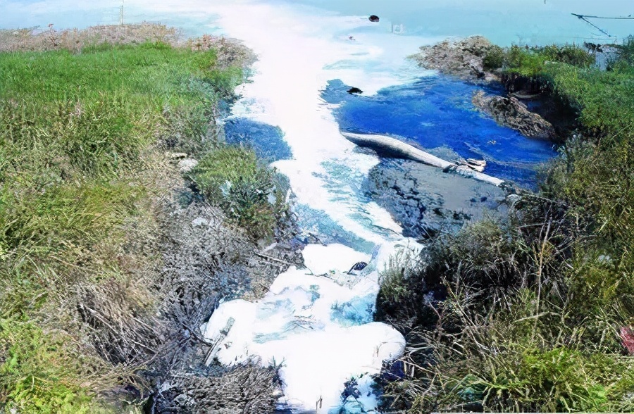 回農村創業搞養豬養殖 需提前了解這五點避免失敗