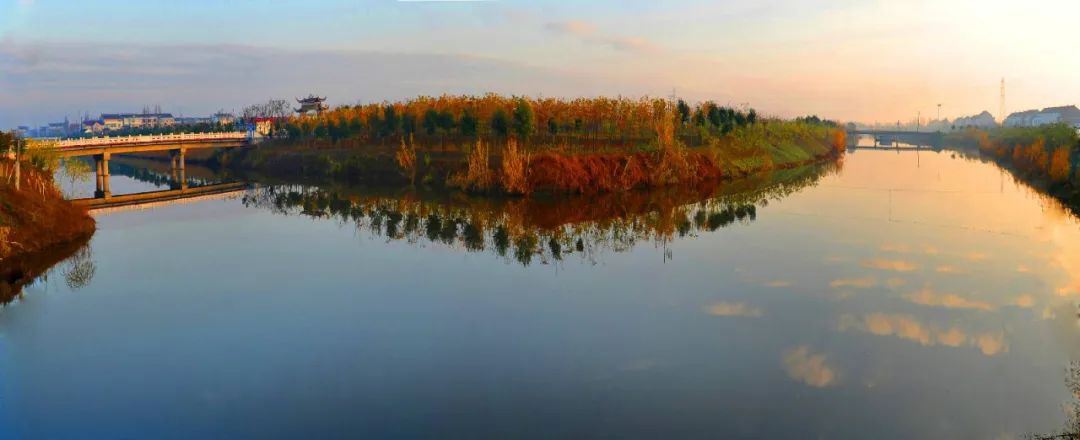 回農村創業搞養豬養殖 需提前了解這五點避免失敗
