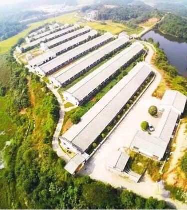 2021養(yǎng)殖利好！不得以行政手段強制清退