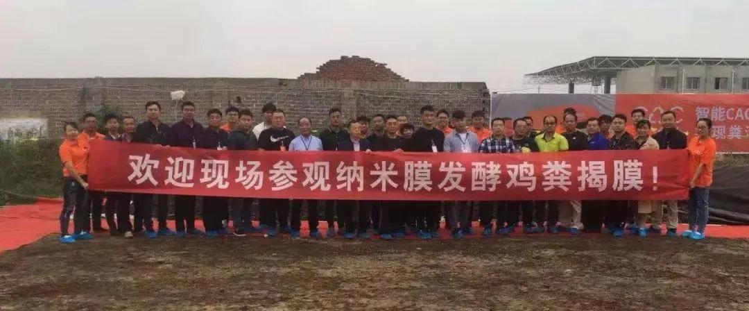 堅持養殖蛋雞30年上半年虧損幾十萬 靠雞糞賺回來