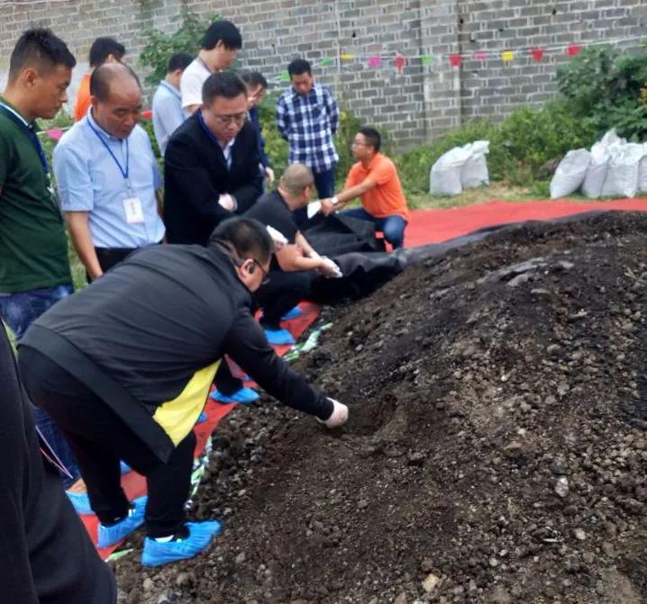 堅持養殖蛋雞30年上半年虧損幾十萬 靠雞糞賺回來