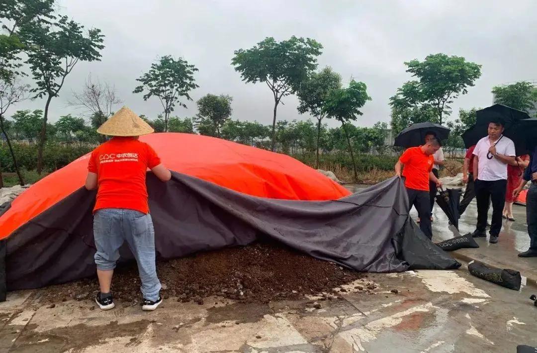 堅持養殖蛋雞30年上半年虧損幾十萬 靠雞糞賺回來