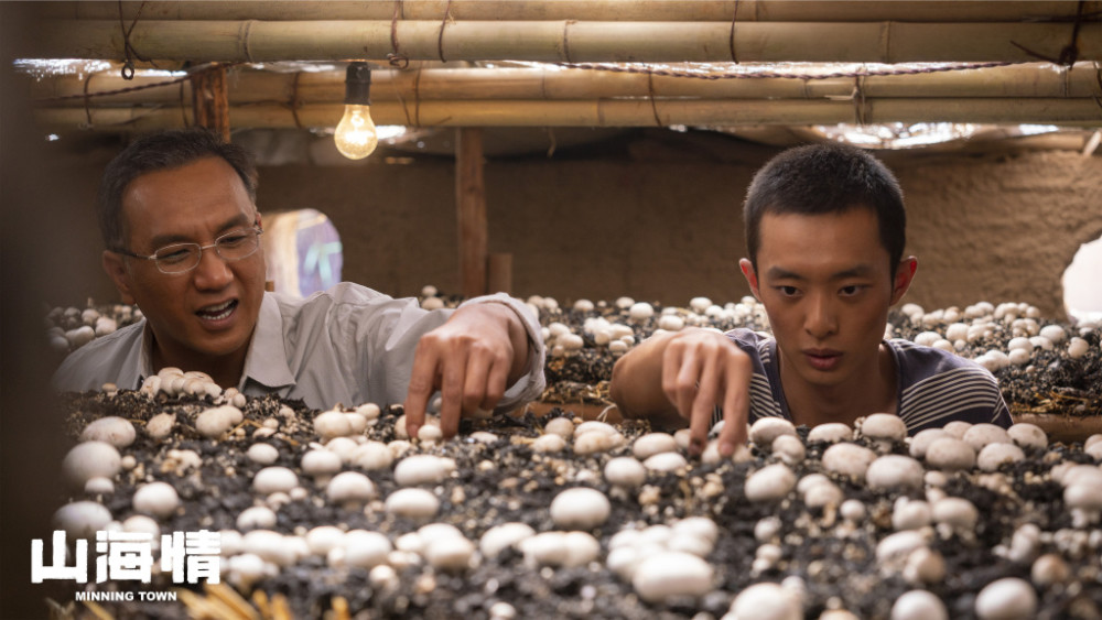 從《山海情》揭示環保問題 原來菌渣也可以制造有機肥