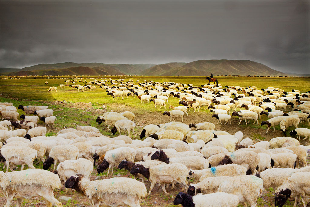 從《山海情》揭示環保問題 原來菌渣也可以制造有機肥