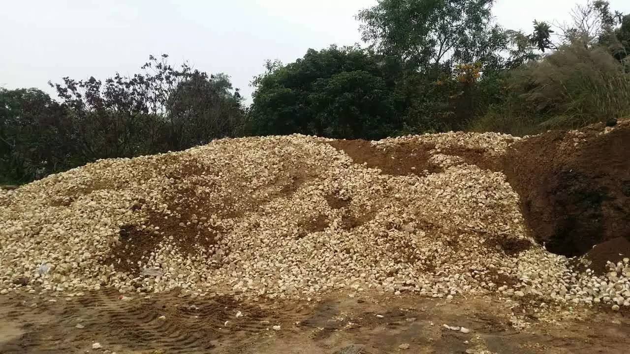 從《山海情》揭示環保問題 原來菌渣也可以制造有機肥