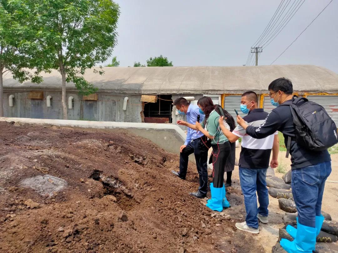 不想打工回鄉創業做什么？這幾種養殖項目低成本高收益