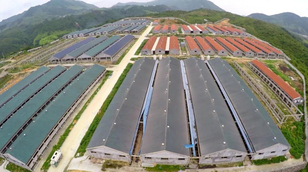 養(yǎng)殖業(yè)最新知識 發(fā)展種養(yǎng)結(jié)合農(nóng)牧循環(huán)有什么好處？