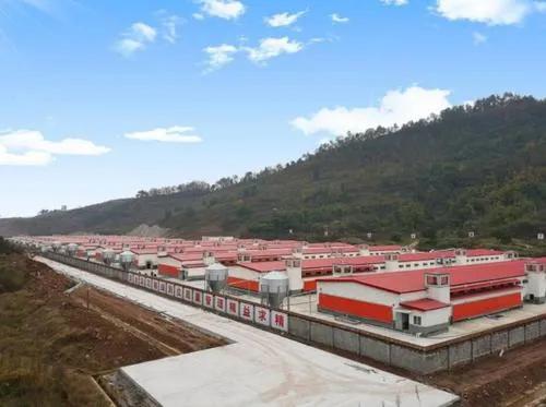 養(yǎng)殖業(yè)最新知識 發(fā)展種養(yǎng)結(jié)合農(nóng)牧循環(huán)有什么好處？