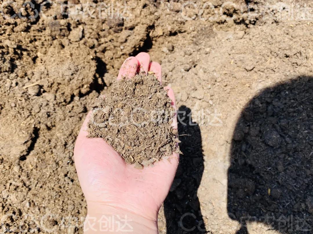 重磅！“十四五”生豬、牛羊、水產、畜禽產業升級方向及發展趨勢