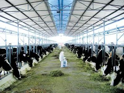 重磅！“十四五”生豬、牛羊、水產、畜禽產業升級方向及發展趨勢