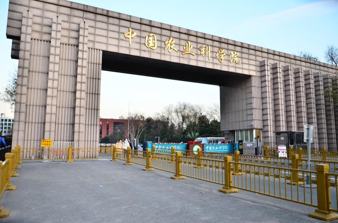 2021年養牛趨于平穩，養羊可能上浮，養豬卻？