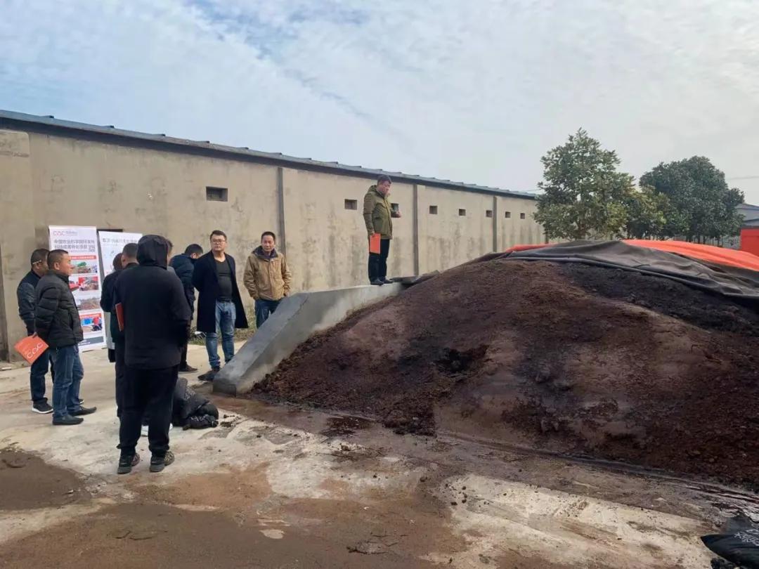 疫情肆虐，蛋價大漲，今年春節還會照例破“3”嗎？