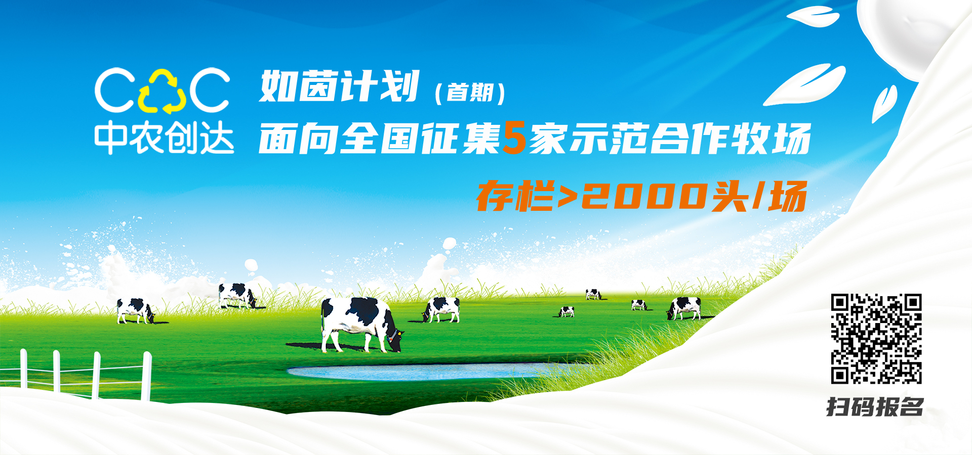 dPmVRPJ5my (3) (3).jpg