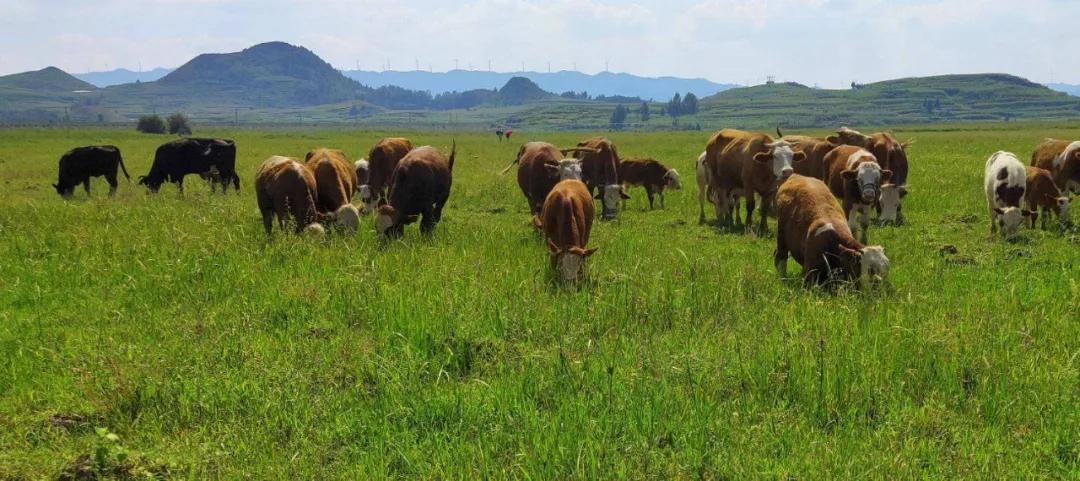 這個模式促使產業升級，越來越多農戶從中受益，是未來的趨勢