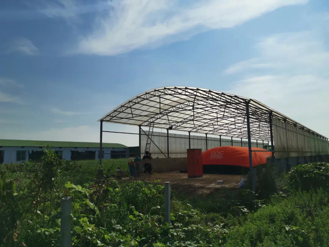 雞糞處理好了也能拿補貼?已經有不少養殖場拿到了