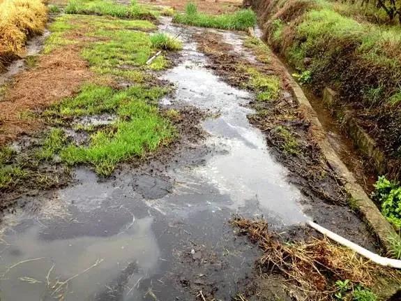 2021養(yǎng)殖趨勢(shì)：這3類人爆賺，4類人瀕臨淘汰